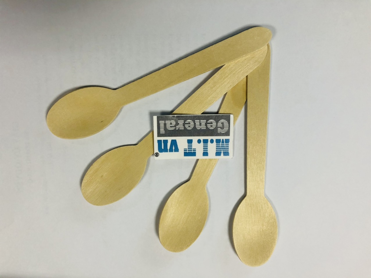 Bamboo Spoon