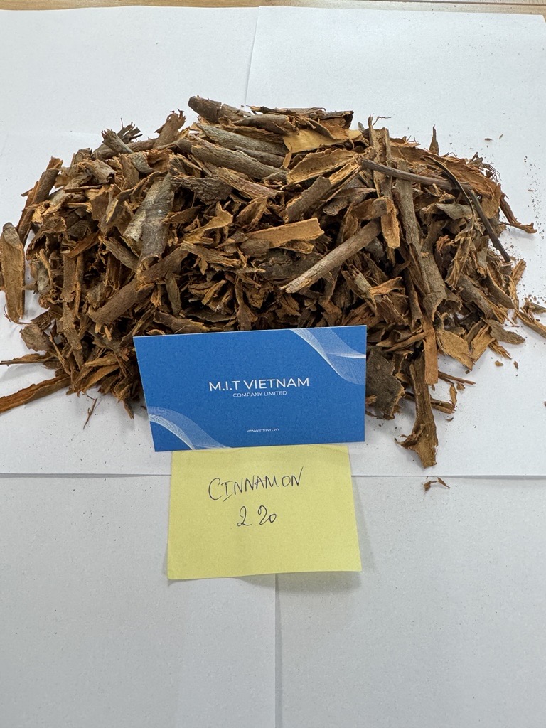 Broken Cassia