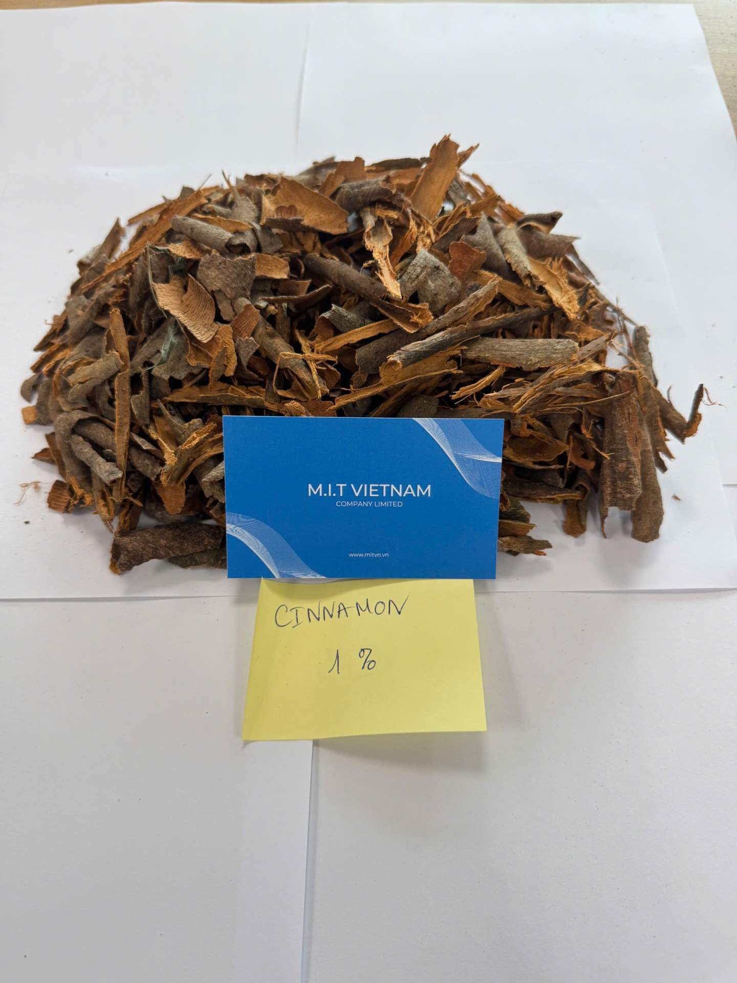 Broken Cassia