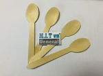 Bamboo Spoon